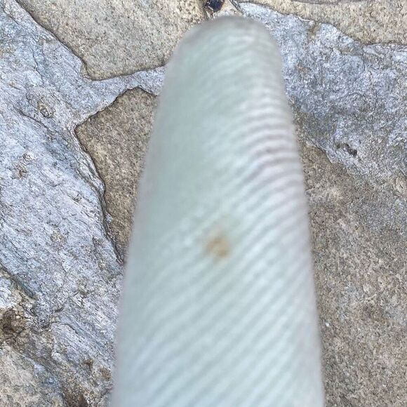 LELE SADOUGHI CORDUROY RIBBED HEADBAND MINT GREEN VGUC - Picture 7 of 8